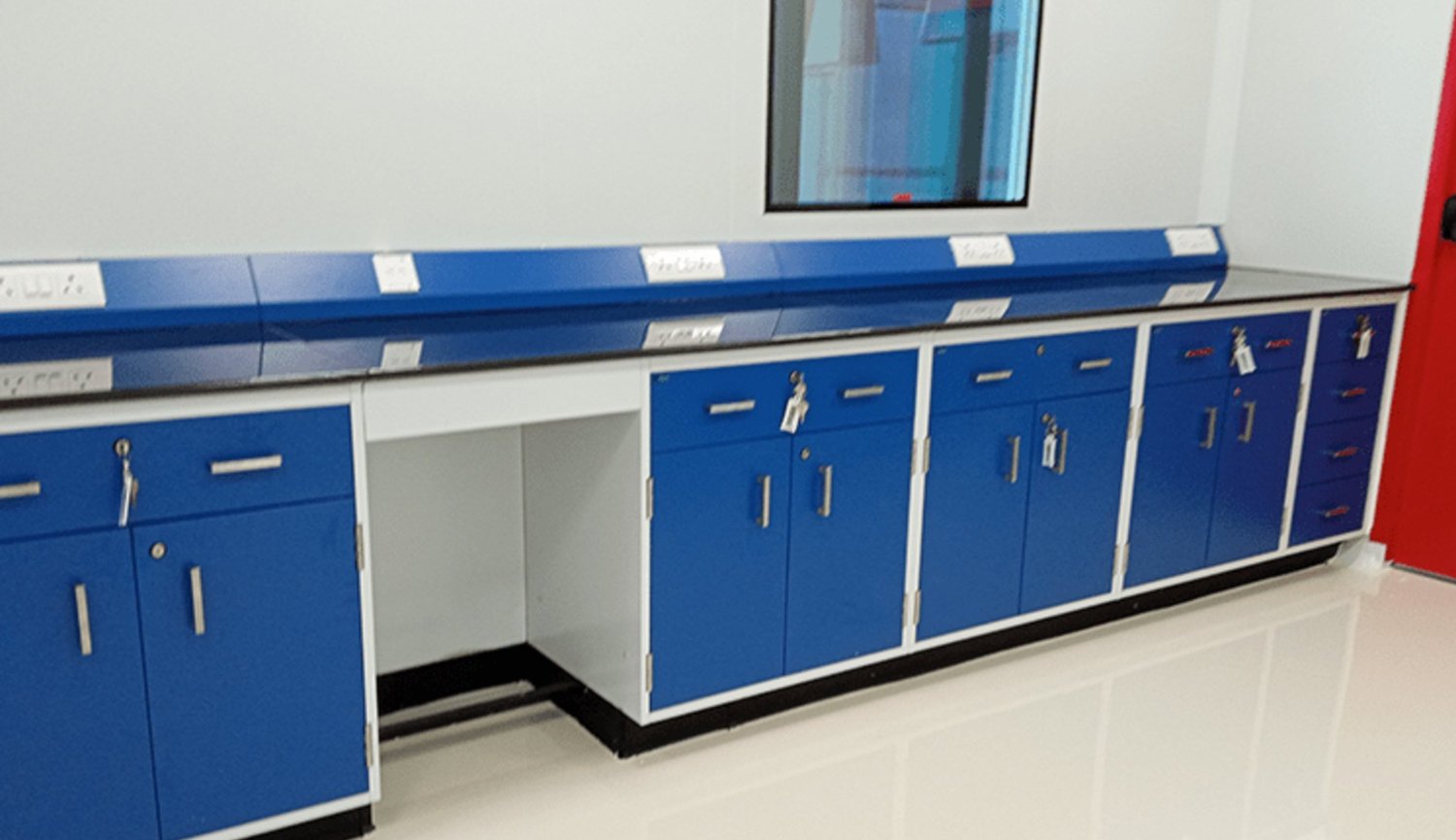 Companion Care